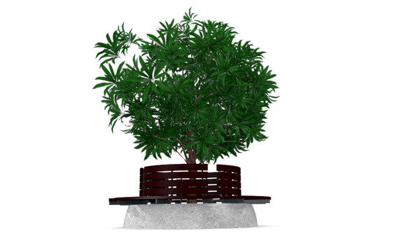 tree bench plumeria 3d model - (Plumeria)tree bench by shariff